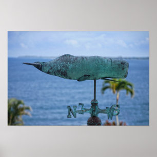 Poster Girouette Baleine à Bosse