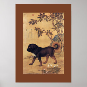 Poster ~ Giuseppe Castiglione de mastiff tibétain de ~ de