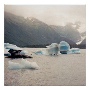 Poster Glace bleue
