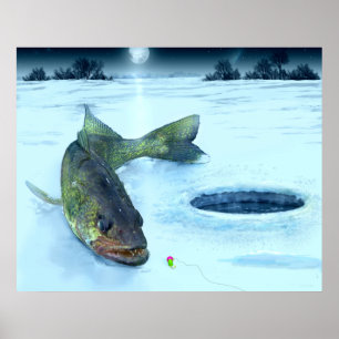 Poster Glace de Walleye