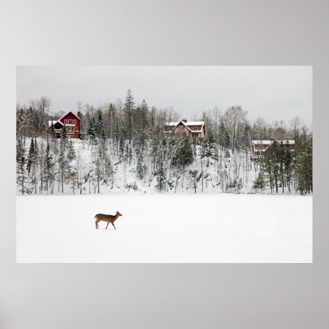 Poster Glace et neige | Cerf en Neige Québec, Canada (Devant)