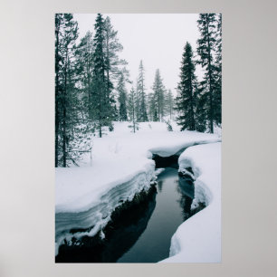 Poster Glace et neige Flux dans un paysage hivernal enn