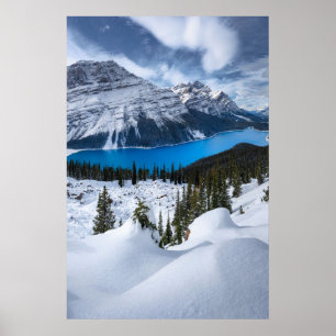 Poster Glace et neige   Lac Peyto, Rocheuses canadiennes