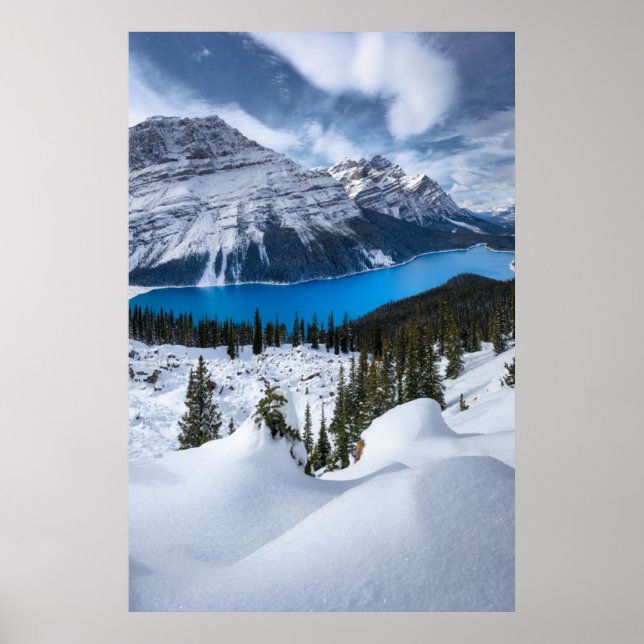 Poster Glace et neige | Lac Peyto, Rocheuses canadiennes (Devant)