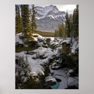 Poster Glace et neige Parc national Jasper Alberta, Can