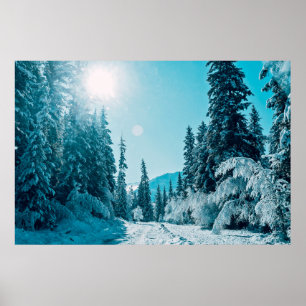 Poster Glace et neige   Réserve naturelle de l'Altaï, Rus