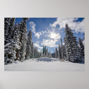 Poster Glace et neige   Sunrise Winter Snow Alberta, Cana