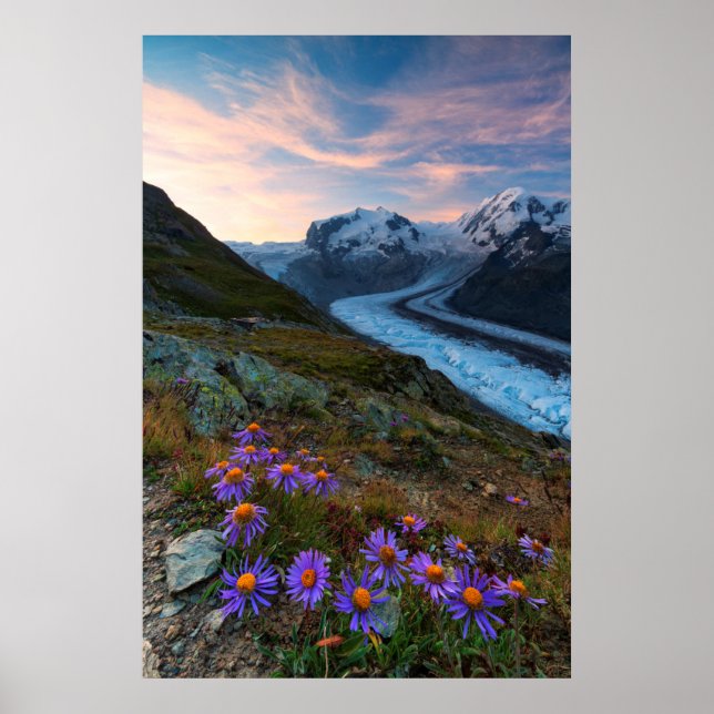 Poster Glacier Monte Rosa | Suisse (Devant)
