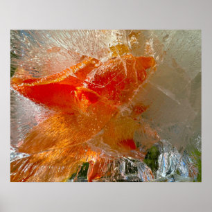 Poster Gladioli dans la glace,