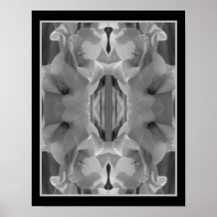 Poster Gladiolus Fleur Noir Et Blanc Abstrait