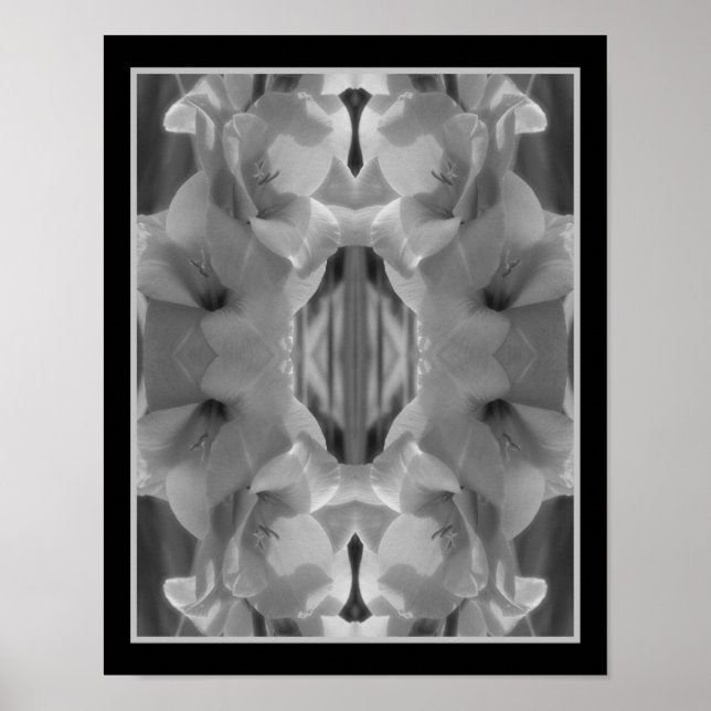 Poster Gladiolus Fleur Noir Et Blanc Abstrait (Devant)
