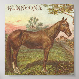 Poster Glencona