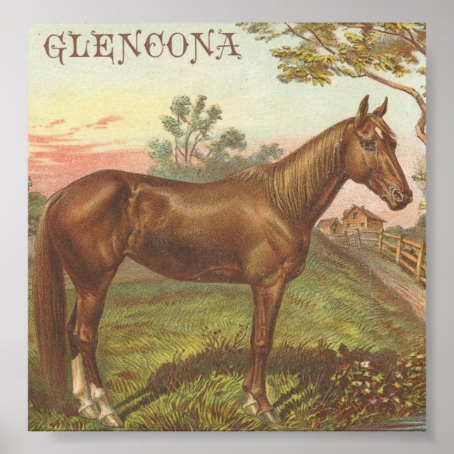 Poster Glencona (Devant)