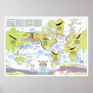 Poster " Global : 1976 - Wale der Welt Wanderkarte ...