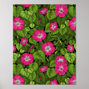 Poster Gloire du matin en rose et vert