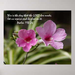 Poster Gloire du matin rose avec vers du psaume 118:24