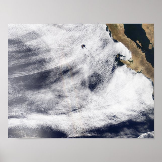 Poster Gloire sur l'océan Pacifique (Devant)