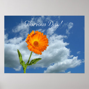 Poster - Glorious day