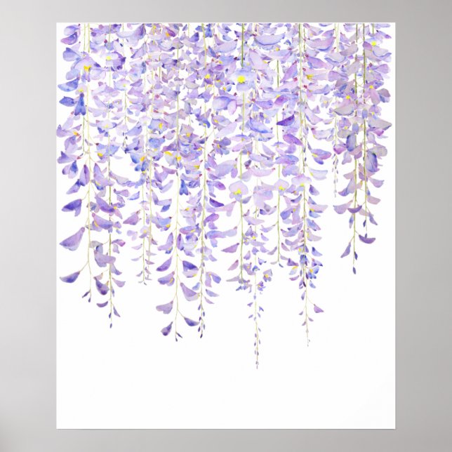 Poster glycine violette en aquarelle fleurie 2021 (Devant)
