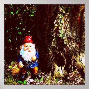 Poster Gnome couvert par rouge