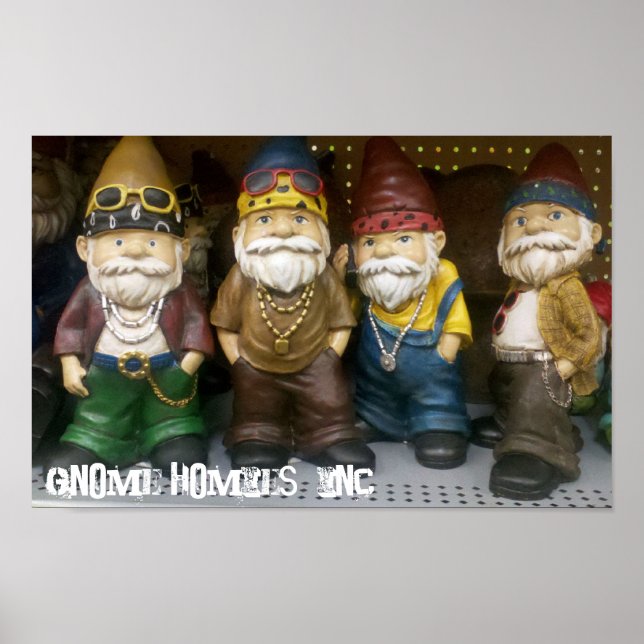 Poster Gnome Homies, Inc. (Devant)