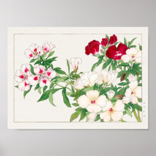 Poster Godetia par Tanigami Konan