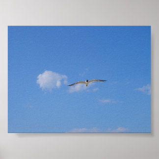 Poster Goéland volant