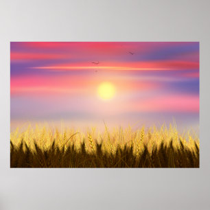 Poster Gold Blé Champ Sunset ciel Paintes à l'huile été