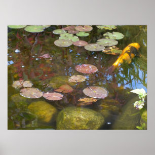 Poster Gold Koi dans l'étang Lily