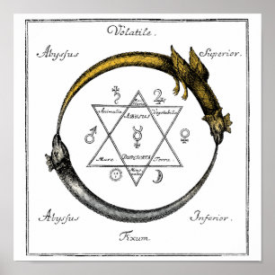 Poster Gold & Silver Ouroboros Symbol