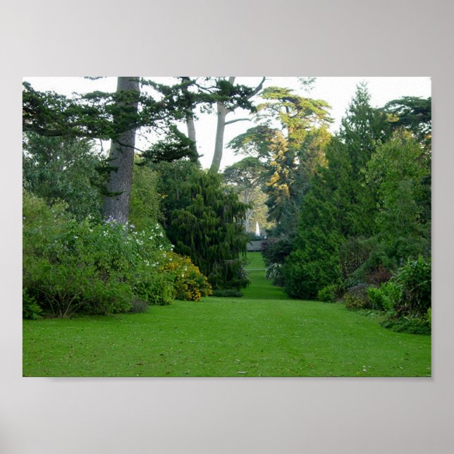 Poster Golden Gate Park (Devant)