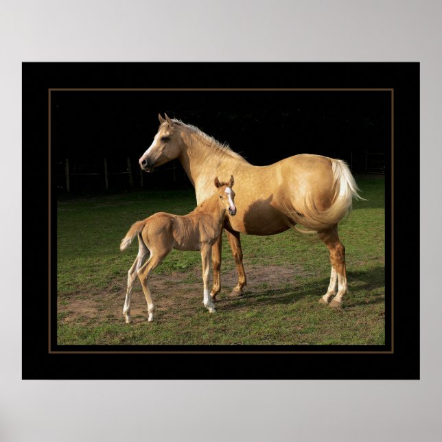 Poster Golden Nugget (Devant)