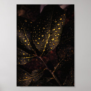 Poster Golden Rain Glow – Natural Elegance