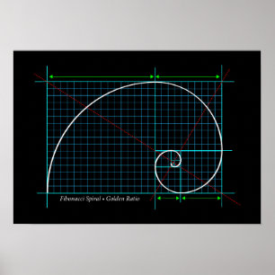 Poster Golden Ratio, Fibonacci Spiral, Color Drawing