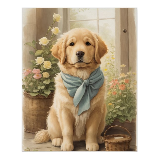 Poster Golden Retriever (Devant)