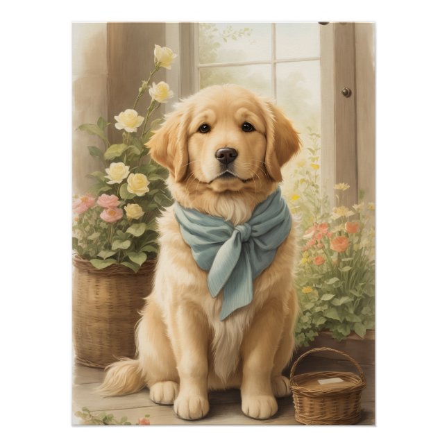 Poster Golden Retriever (Devant)