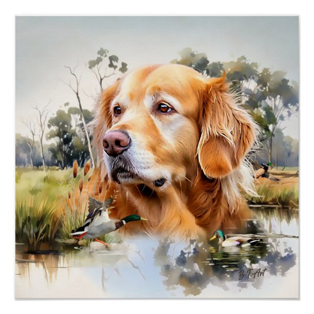 Poster Golden Retriever (Devant)