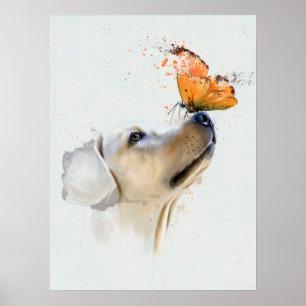Poster Golden Retriever avec un papillon sur son nez