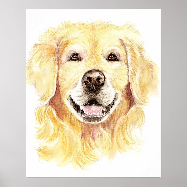 Poster Golden Retriever Chien Animal animal Aquarelle (Devant)
