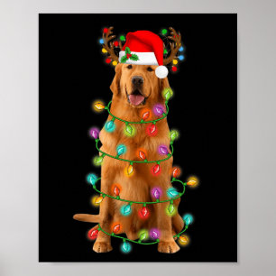 Poster Golden Retriever Christmas Tree Lights Pyjama Chie