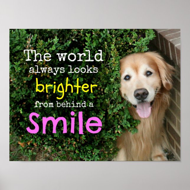 Poster Golden Retriever Derrière Un Sourire (Devant)
