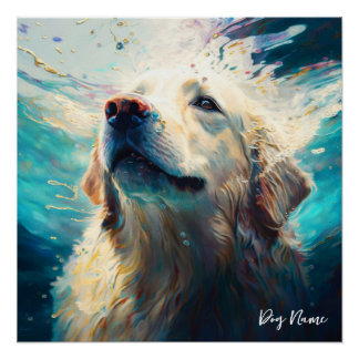 Poster Golden Retriever dog swimming in water 005