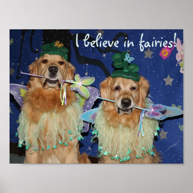 Poster Golden Retriever Fairies (Devant)