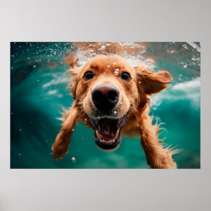 Poster Golden Retriever heureux nageant sous l'eau