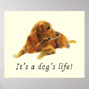 Poster Golden Retriever Peinture Drôle Chien Slogan Humou