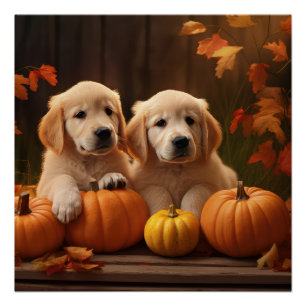 Poster Golden Retriever Puppy Automne Citrouille de plais