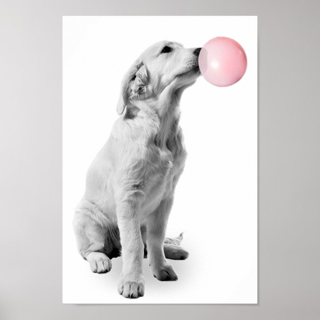 Poster Golden Retriever Puppy Bubble Nursery Child (Devant)