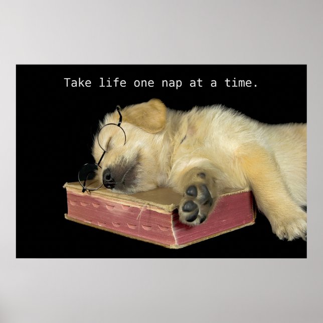Poster Golden Retriever Puppy sur le livre (Devant)