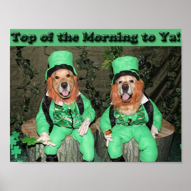 Poster Golden Retriever Top of the Morning Leprechauns (Devant)