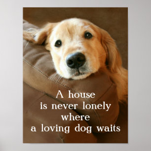 Poster Golden Retriever Une Maison N'Est Jamais Seule